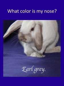 What color is my nose?
